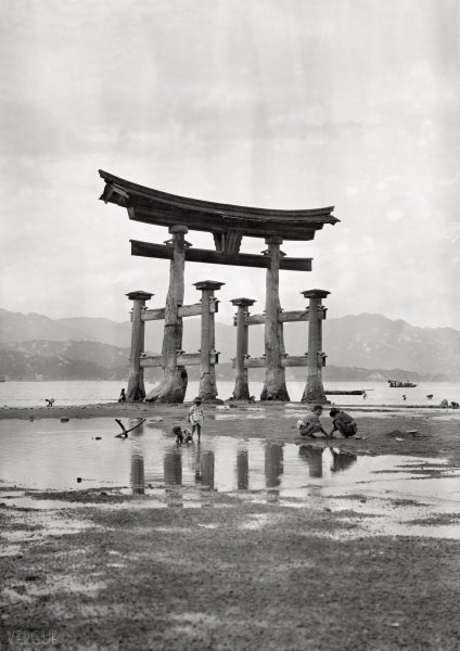 Torii de Miyajima (île sanctuaire de Itsukushima), 1908