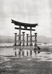 Torii de Miyajima (île sanctuaire de Itsukushima), 1908