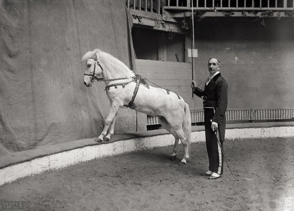 Cirque Molier, 1921