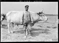 Prisonnier allemand travaillant à la ferme, 1918