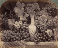Fenton : fruits et fleurs